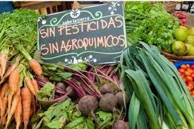 Buscan que en los barrios de Funes se repliquen ferias de alimentos agroecológicos
